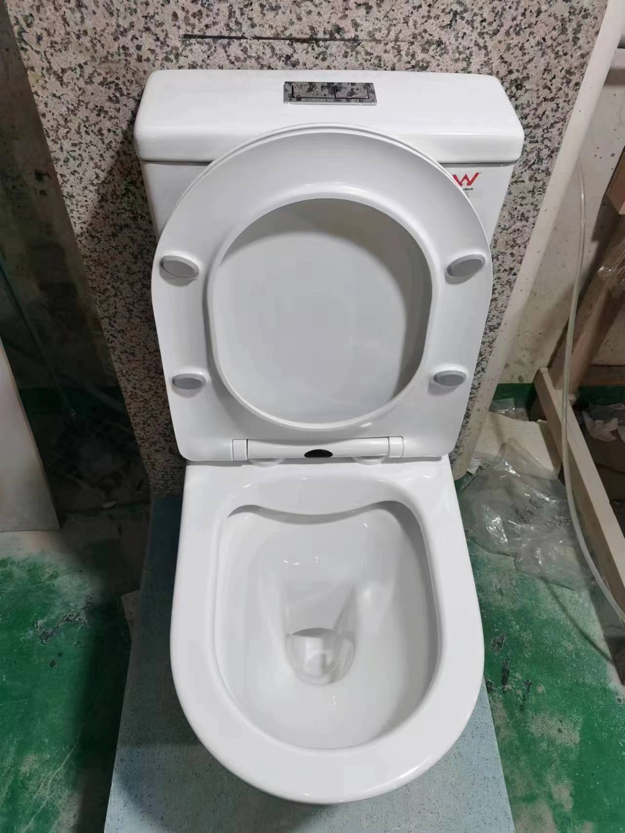 Toilet - Back to wall Rimless Flushing Toilet