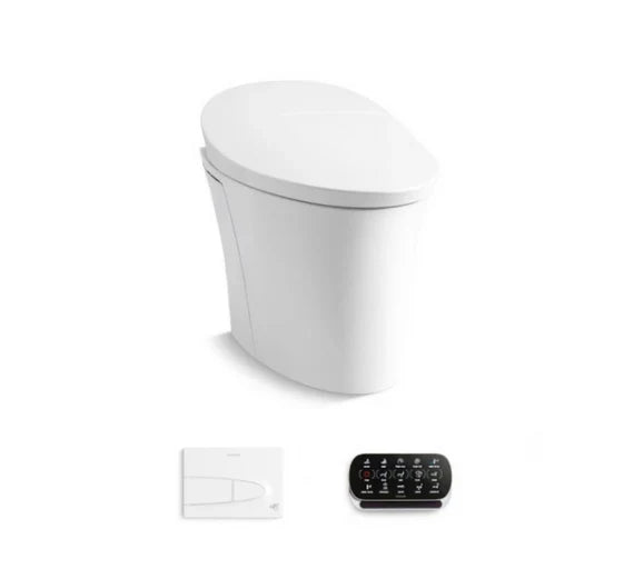Intelligent Toilet