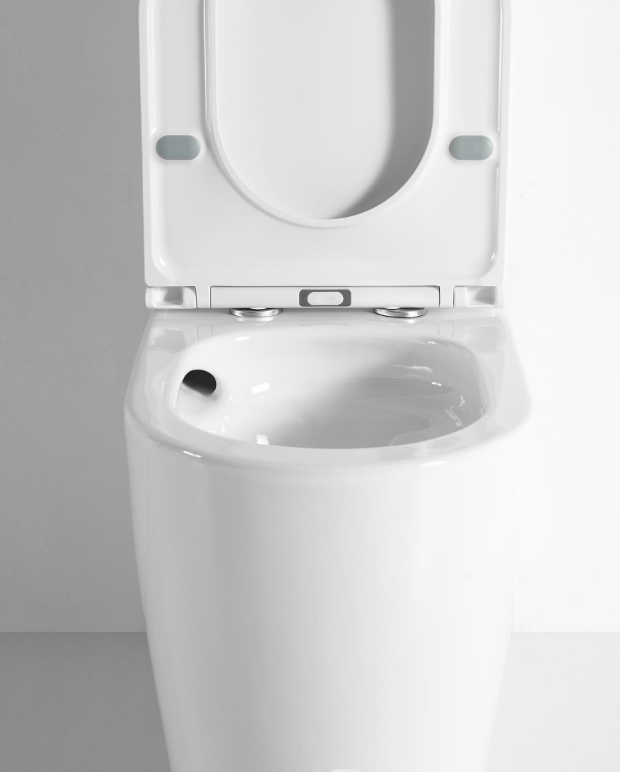 Tornado Back to Wall Toilet Suite Gloss White